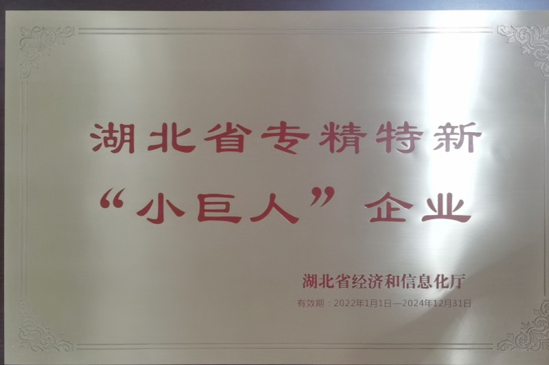 13-2022年公司獲得 湖北省專精特新“小巨人”企業(yè) 稱號.jpg